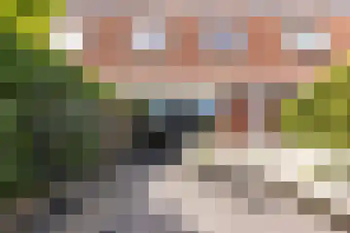 Keppelsloot 5 Broek op Langedijk thumbnail 42