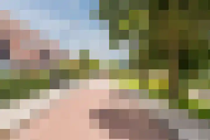 Keppelsloot 5 Broek op Langedijk thumbnail 45