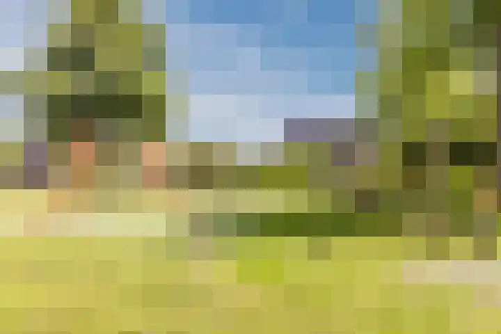 Keppelsloot 5 Broek op Langedijk thumbnail 48