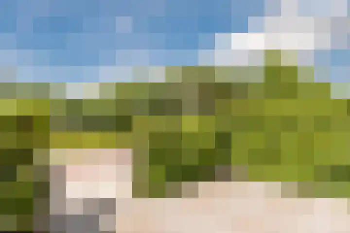 Keppelsloot 5 Broek op Langedijk thumbnail 6