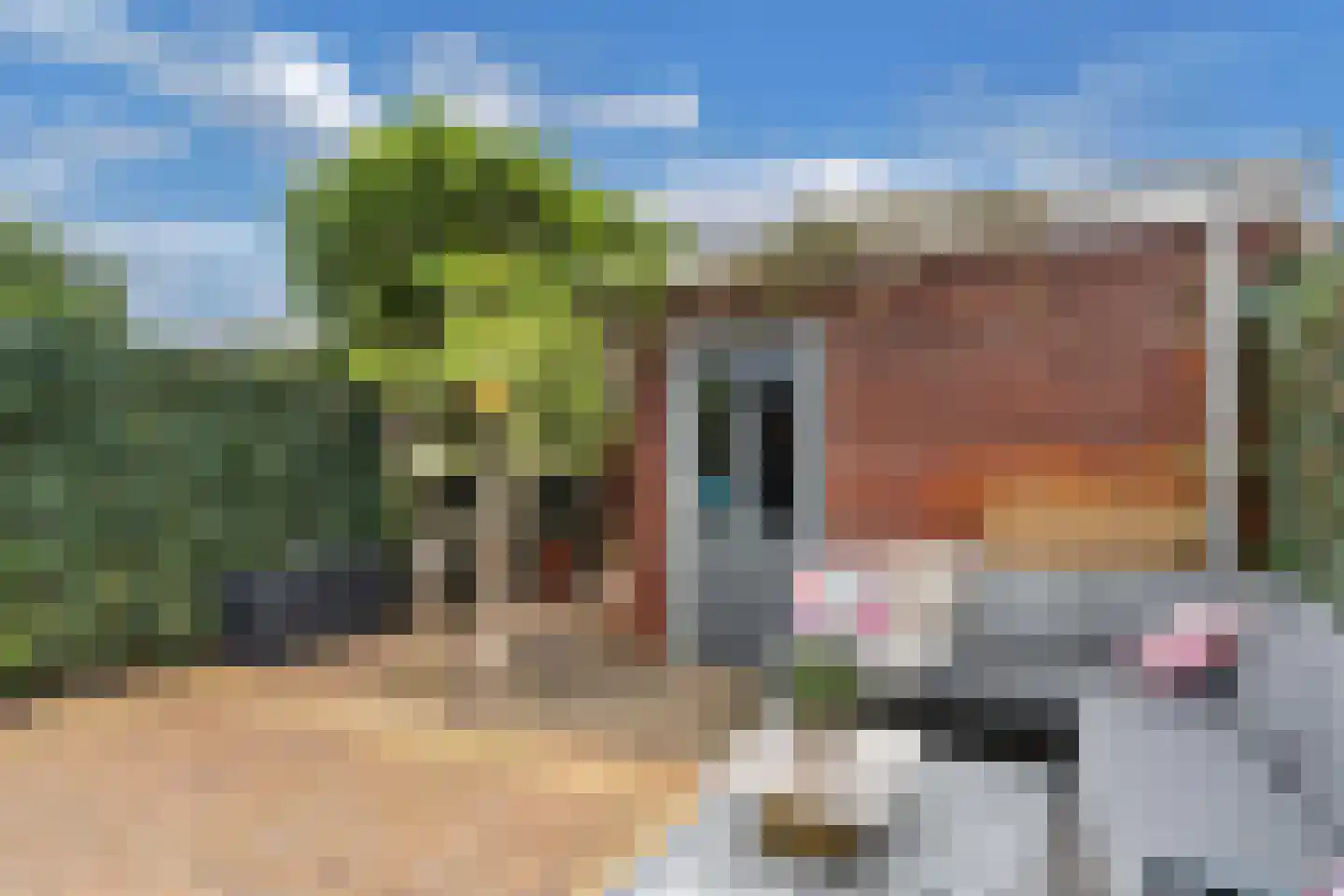 Keppelsloot 7 Broek op Langedijk thumbnail 41