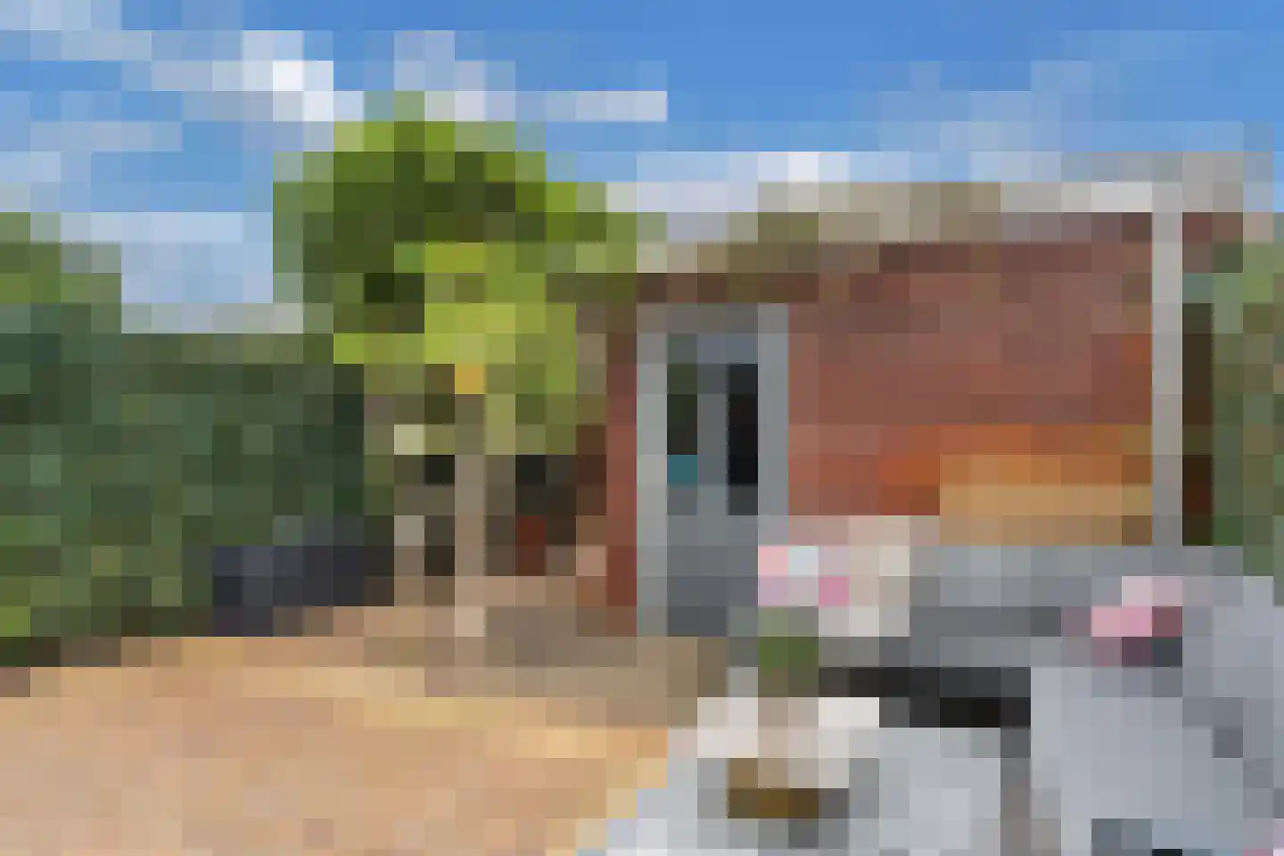 Keppelsloot 7 Broek op Langedijk thumbnail 41