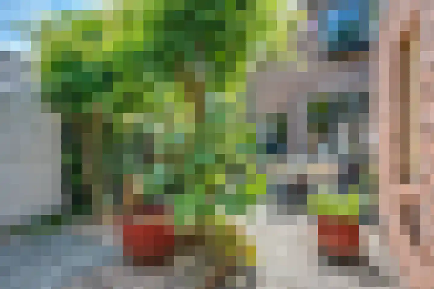 Keppelstraat 12 Hasselt thumbnail 19