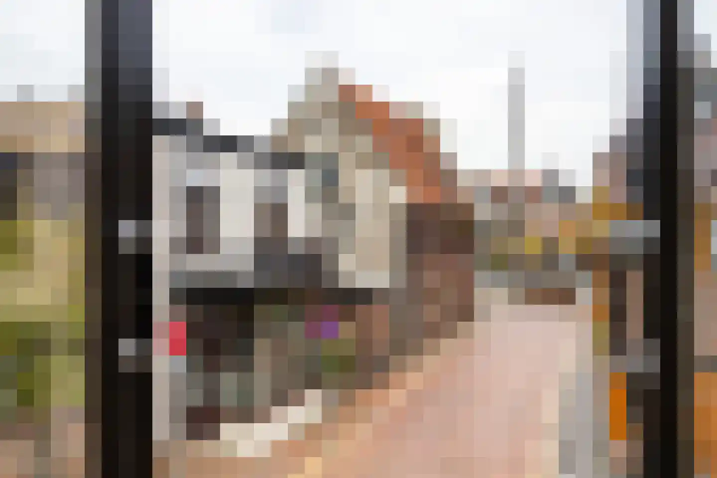 Keppelstraat 20 Dokkum thumbnail 23