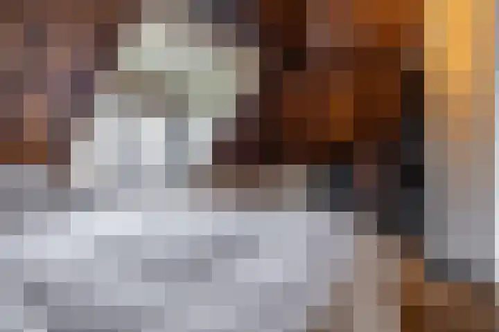 Keppelstraat 20 Dokkum thumbnail 38