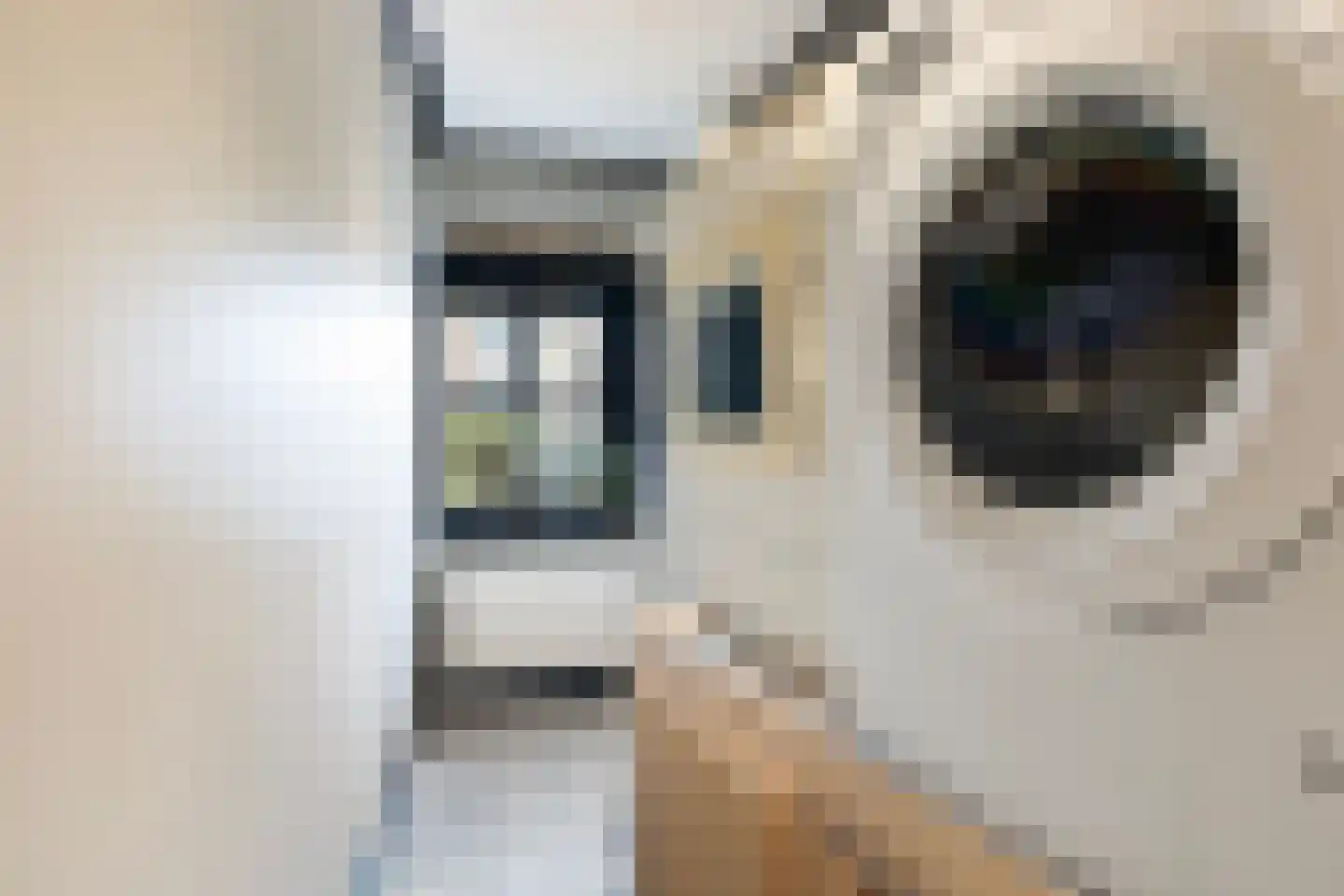 Keppelstraat 20 Dokkum thumbnail 39