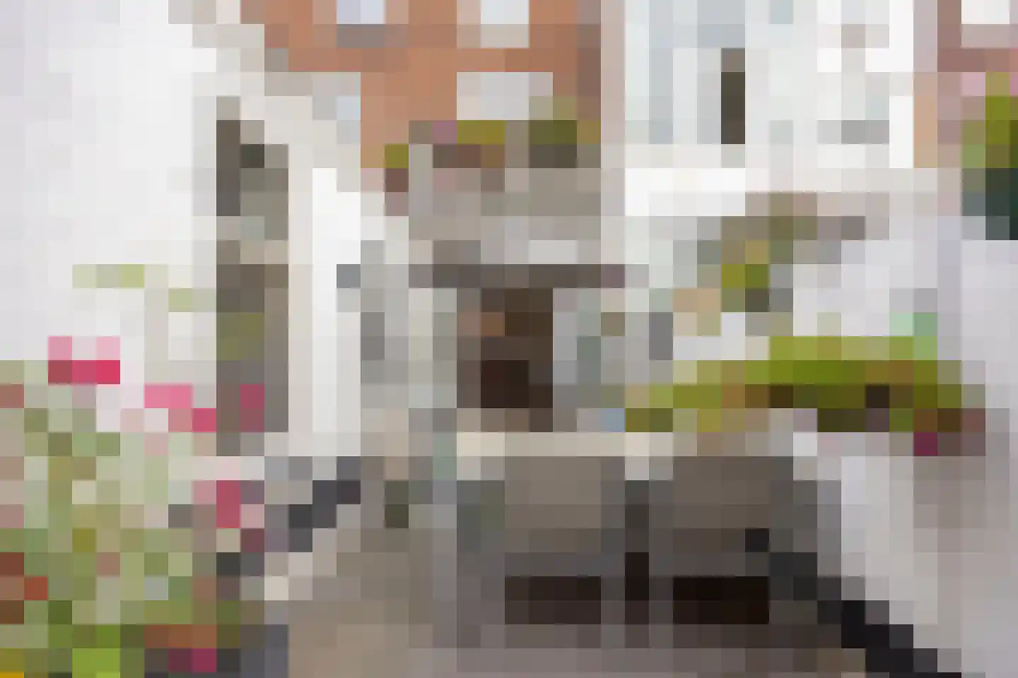 Kepplerstraat 186 Den Haag thumbnail 4