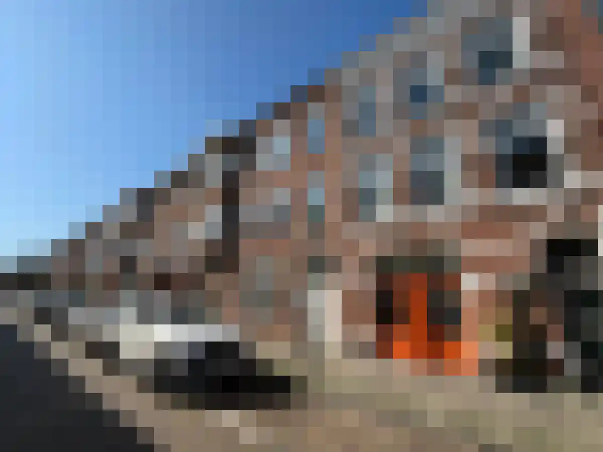 Kepplerstraat 249 dans Den Haag