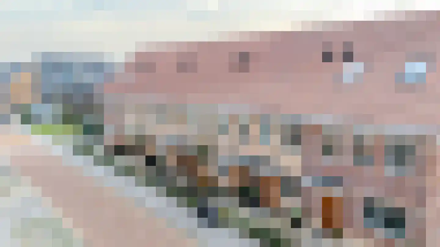 Keramiekstraat 18 Rijnsburg thumbnail 33