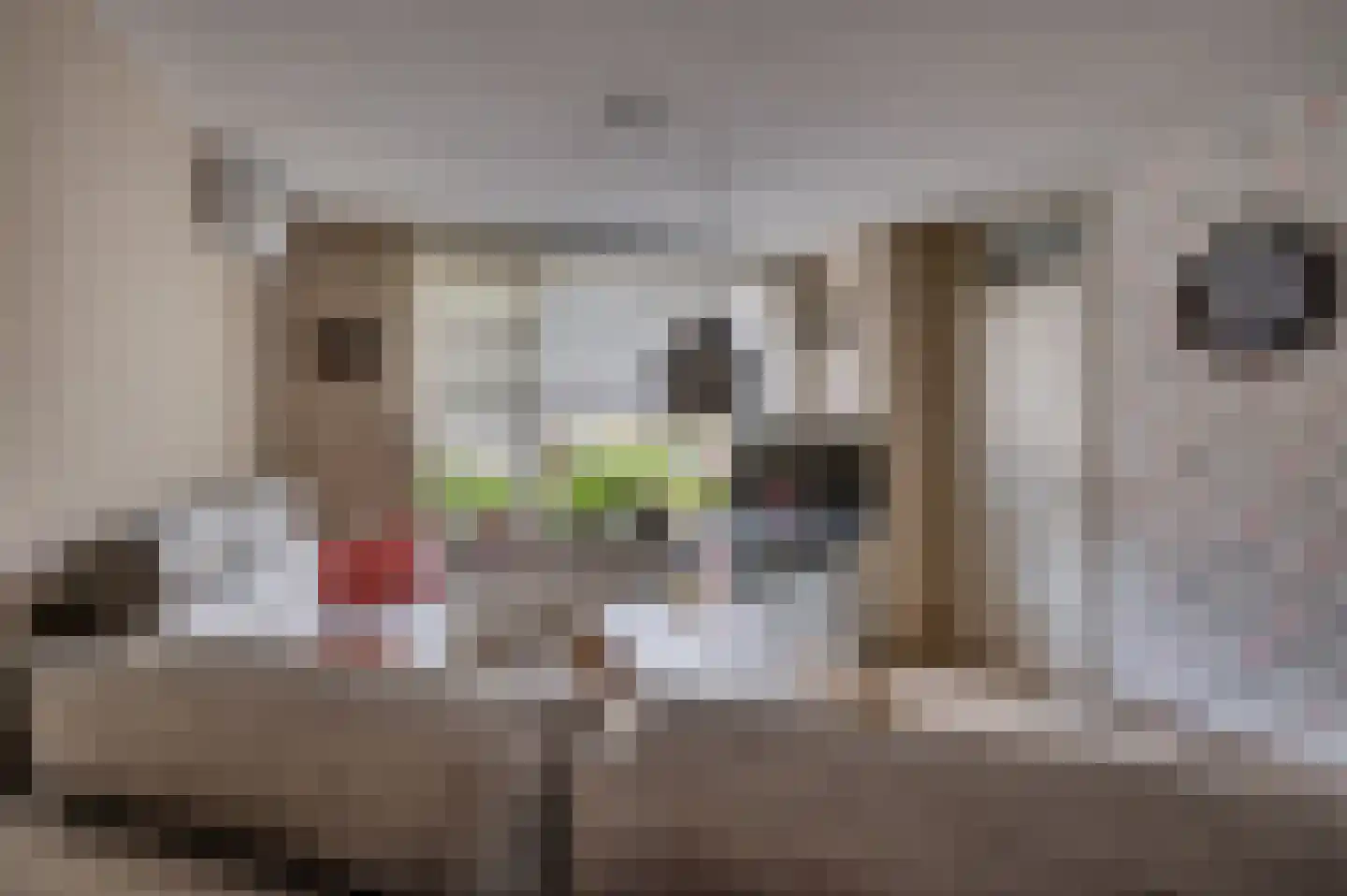 Keramiekstraat 52 Reuver thumbnail 12