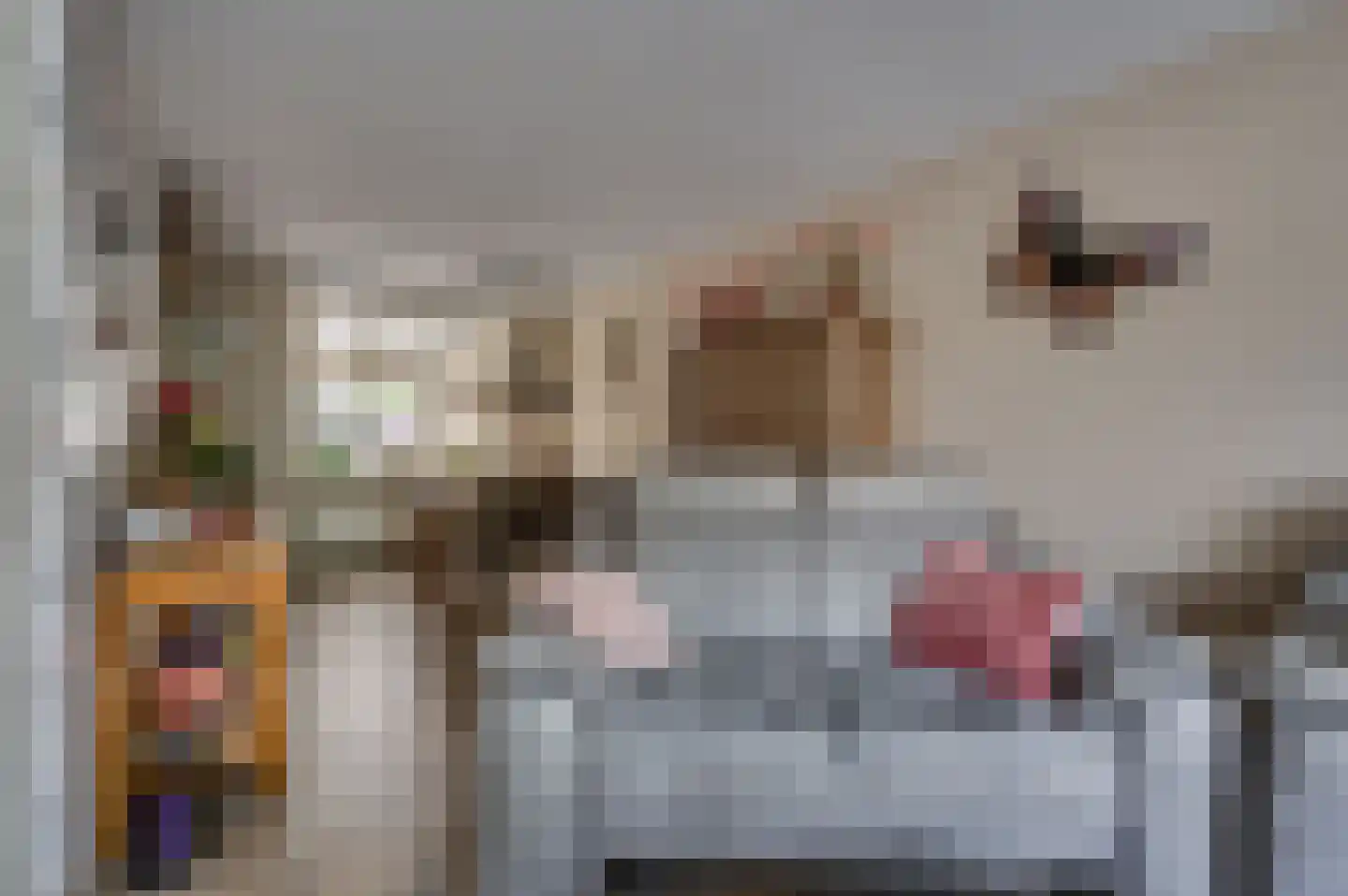 Keramiekstraat 52 Reuver thumbnail 16