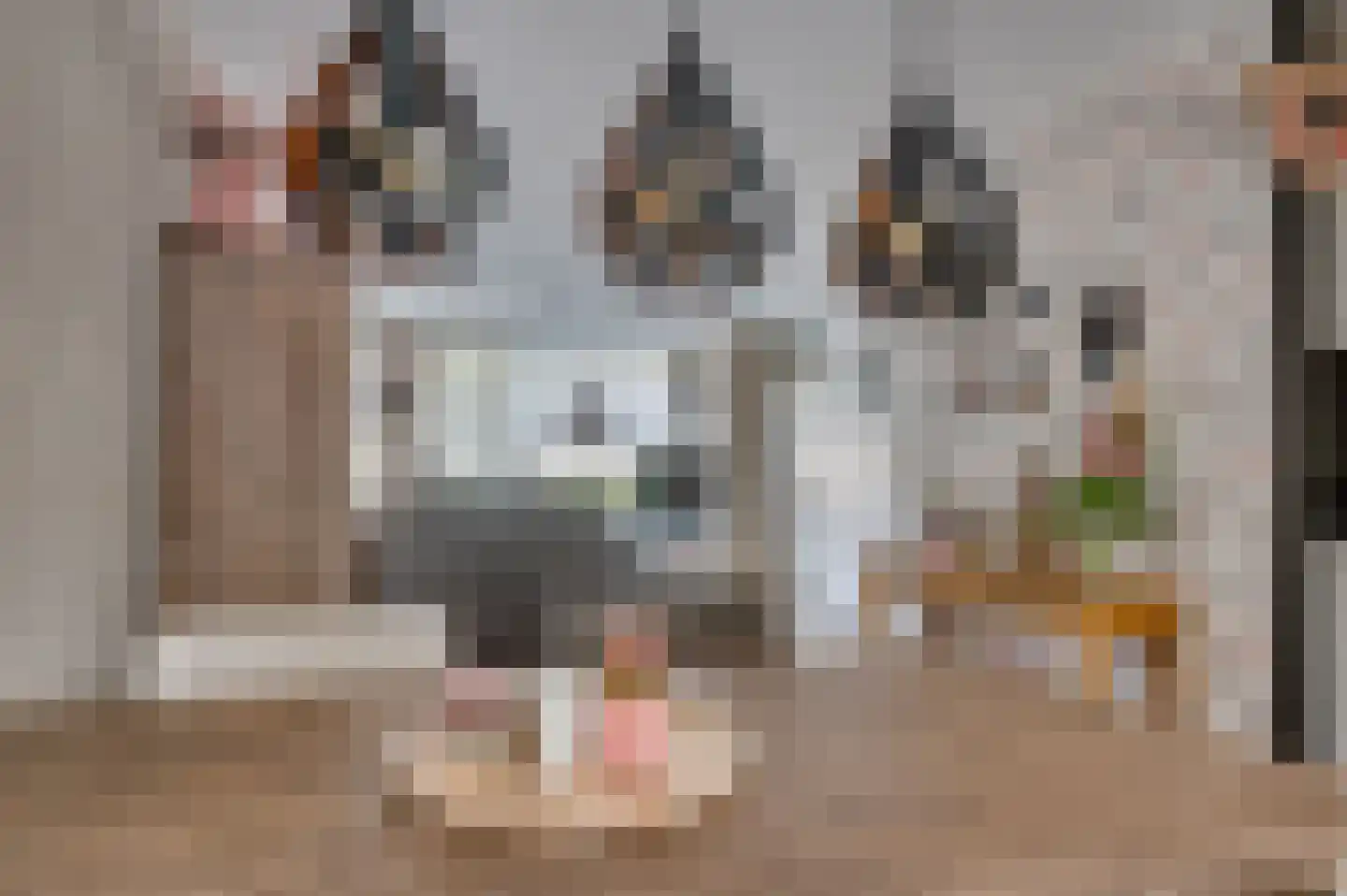 Keramiekstraat 52 Reuver thumbnail 4