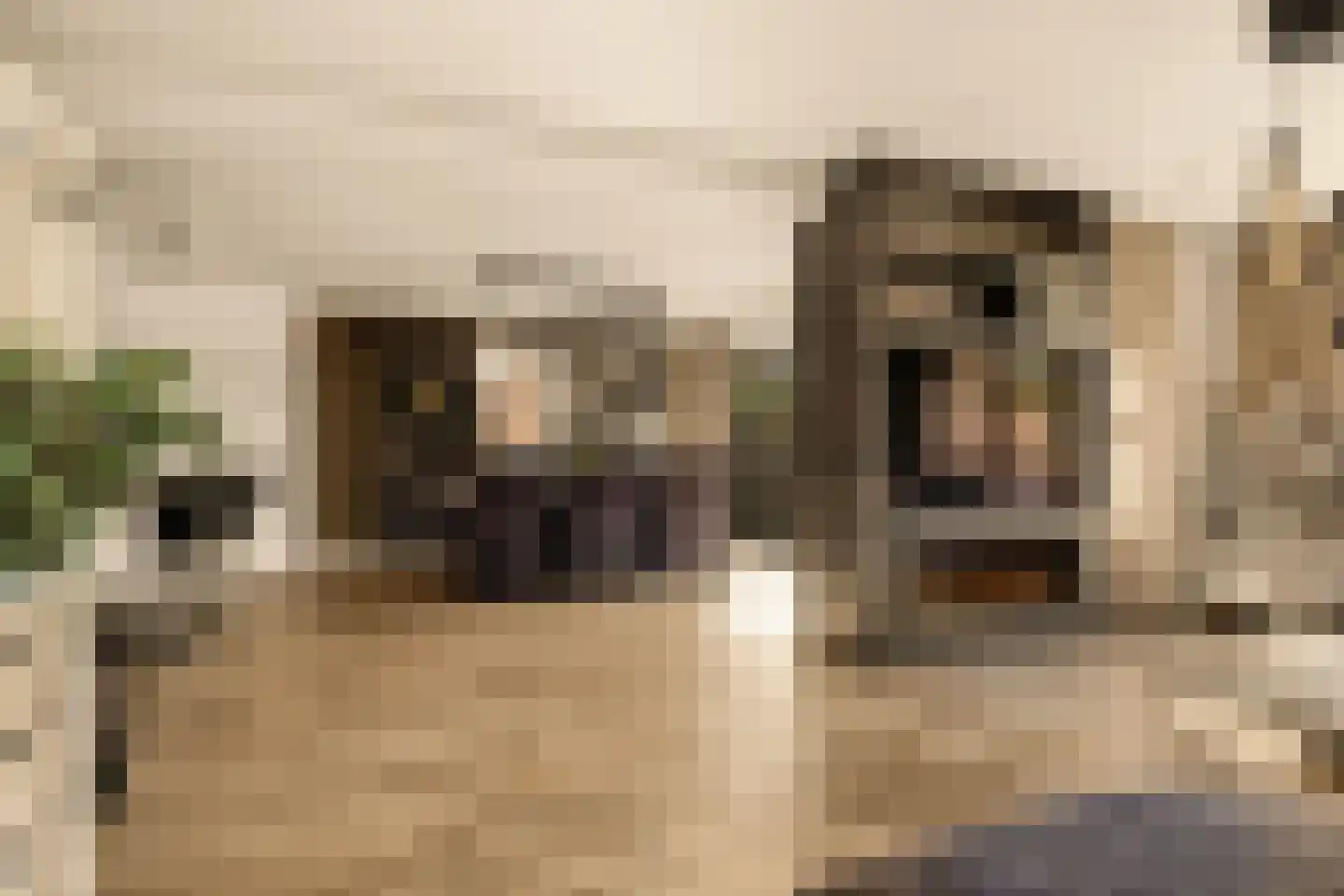 Keratellastraat 23 Amsterdam thumbnail 4
