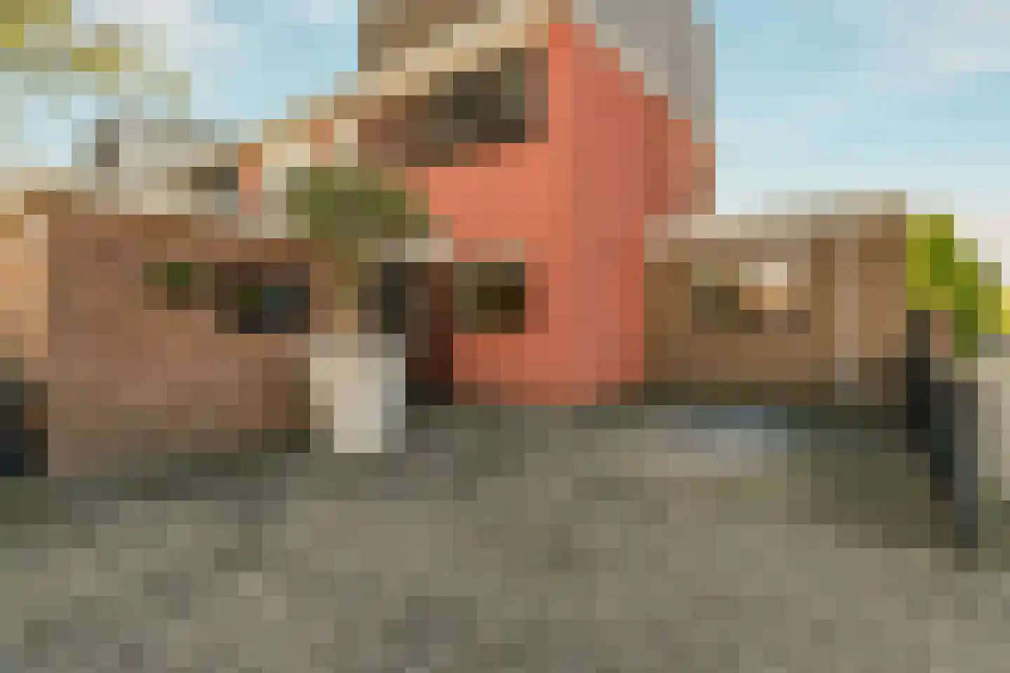 Keratellastraat 23 Amsterdam thumbnail 46