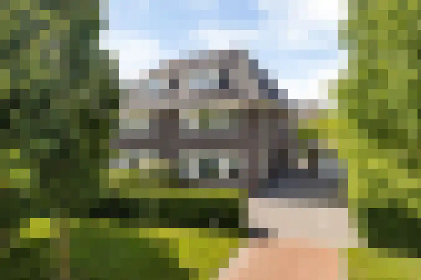Kerbiel 10 Leeuwarden thumbnail 65