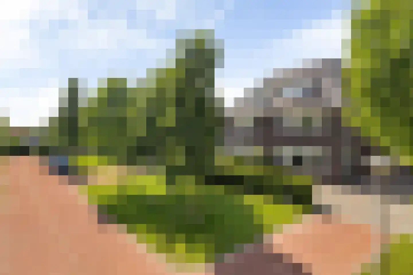 Kerbiel 10 Leeuwarden thumbnail 66
