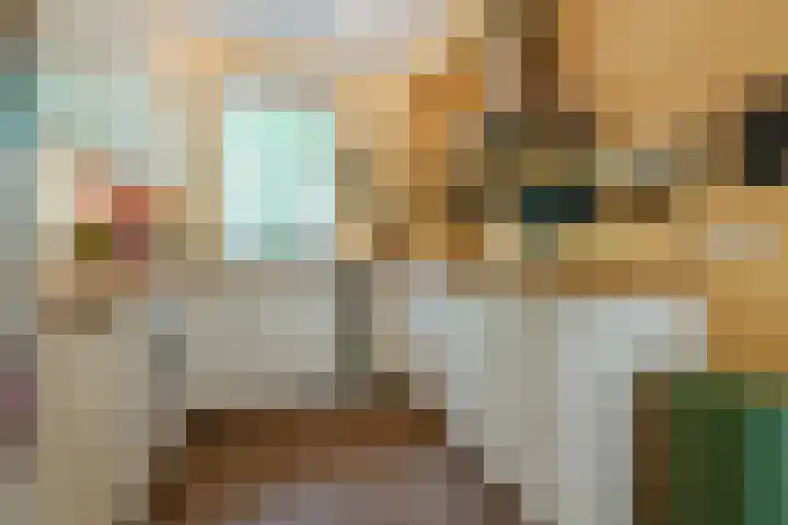 Kerckeboschlaan 16 Zeist thumbnail 11