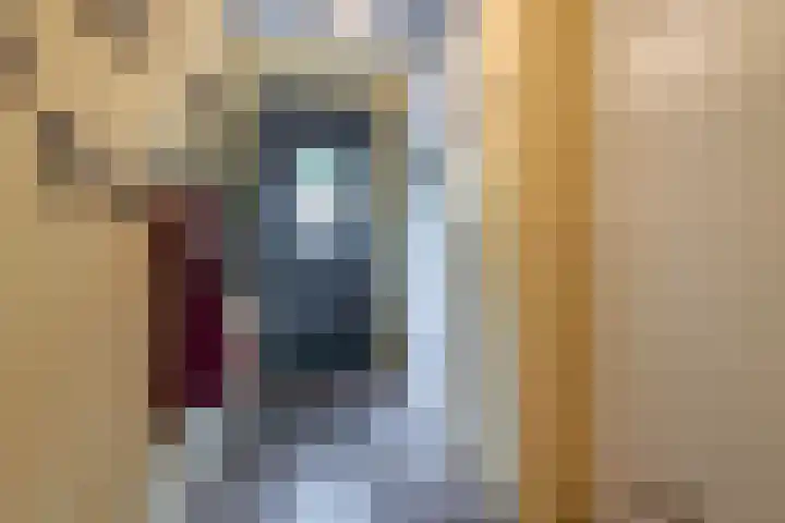 Kerckeboschlaan 16 Zeist thumbnail 12