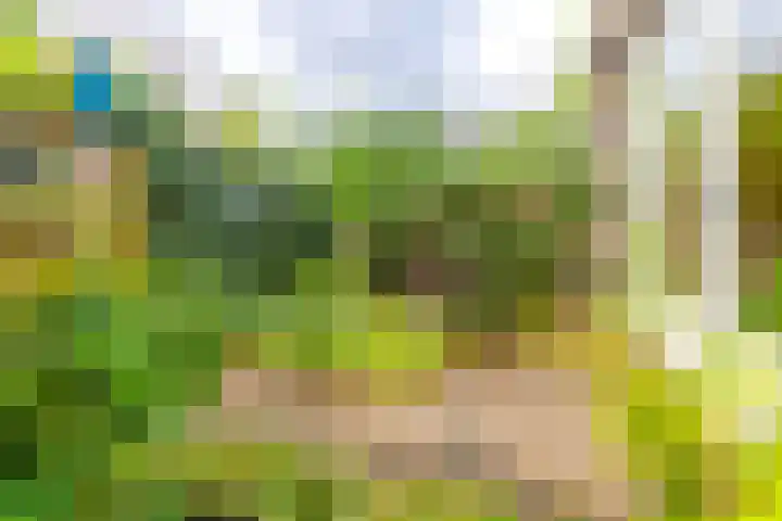 Kerckeboschlaan 16 Zeist thumbnail 25