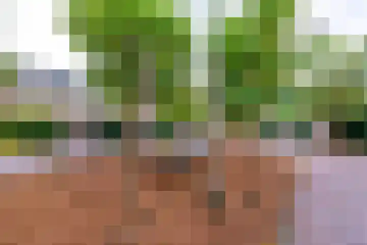 Kerckeboschlaan 16 Zeist thumbnail 26