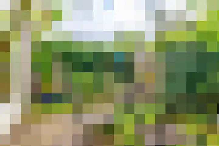Kerckeboschlaan 16 Zeist thumbnail 27