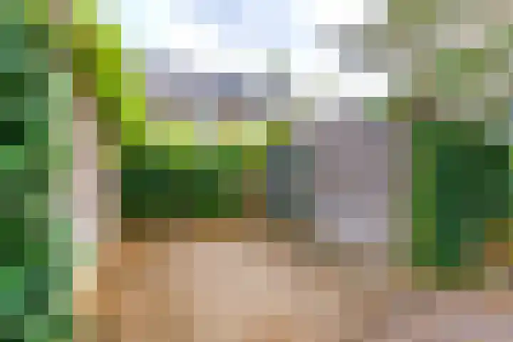 Kerckeboschlaan 16 Zeist thumbnail 29
