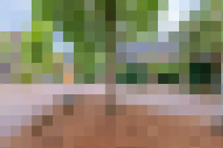 Kerckeboschlaan 16 Zeist thumbnail 30