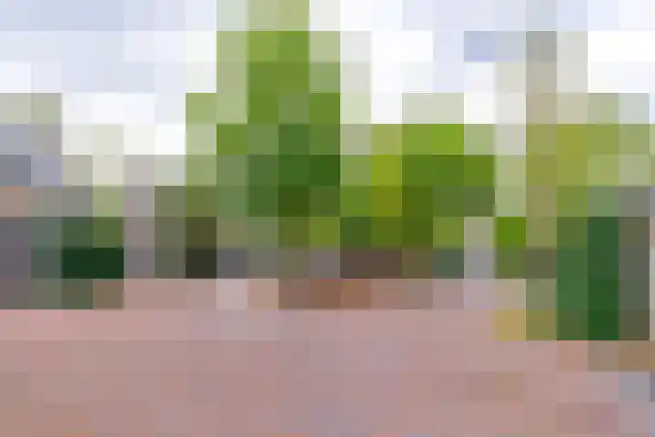 Kerckeboschlaan 16 Zeist thumbnail 31