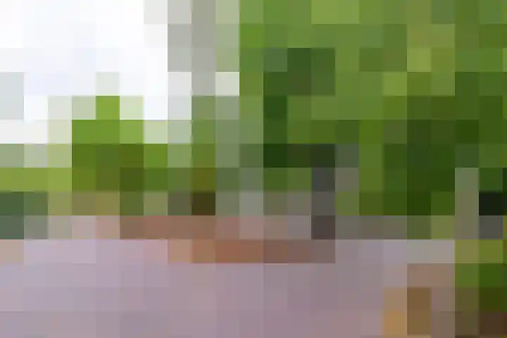 Kerckeboschlaan 16 Zeist thumbnail 32