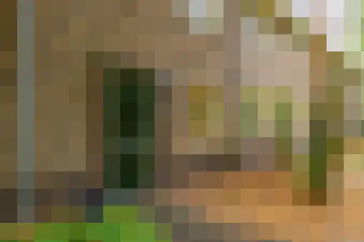 Kerckeboschlaan 16 Zeist thumbnail 33