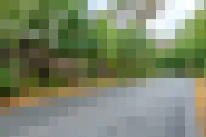 Kerckeboschlaan 16 Zeist thumbnail 34