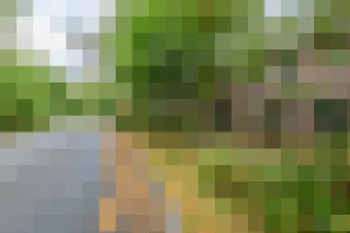 Kerckeboschlaan 16 Zeist thumbnail 35
