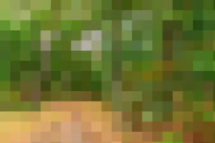 Kerckeboschlaan 16 Zeist thumbnail 36