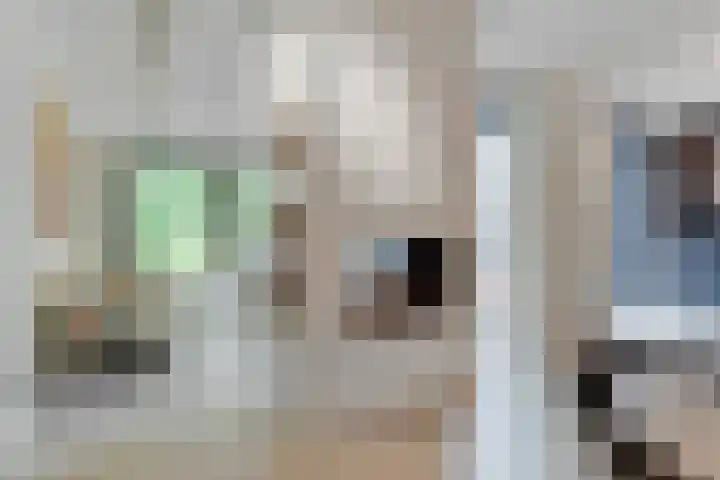 Kerckeboschlaan 31 Zeist thumbnail 13