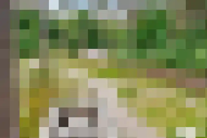Kerckeboschlaan 31 Zeist thumbnail 22
