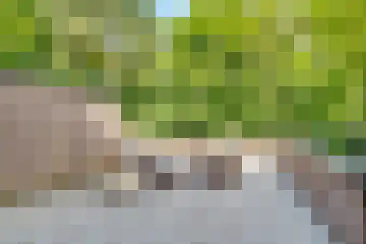 Kerckeboschlaan 31 Zeist thumbnail 31