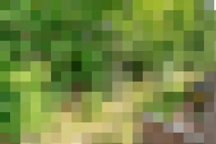 Kerckeboschlaan 31 Zeist thumbnail 32