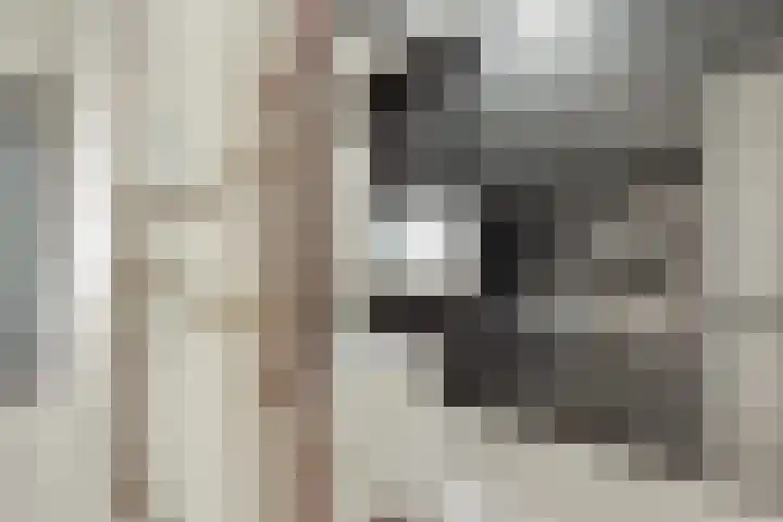 Kerckeboschlaan 31 Zeist thumbnail 34