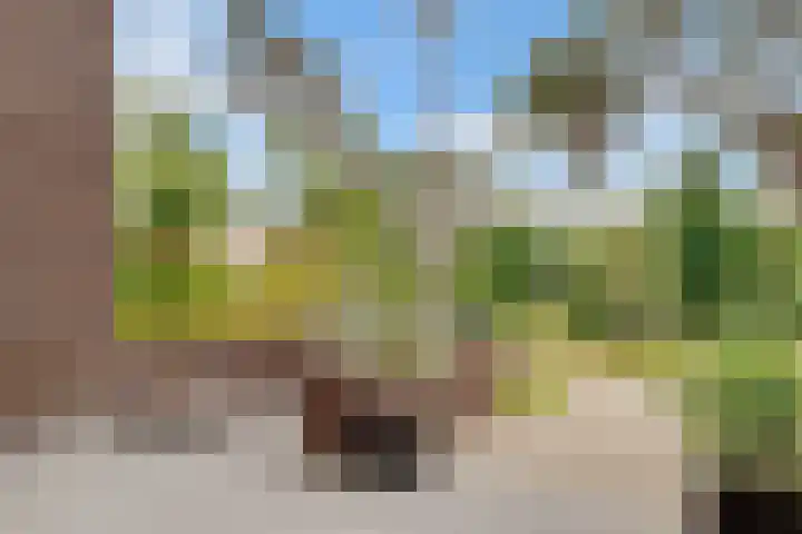Kerckeboschlaan 31 Zeist thumbnail 39