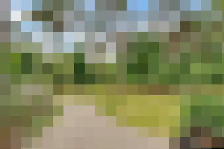 Kerckeboschlaan 31 Zeist thumbnail 41