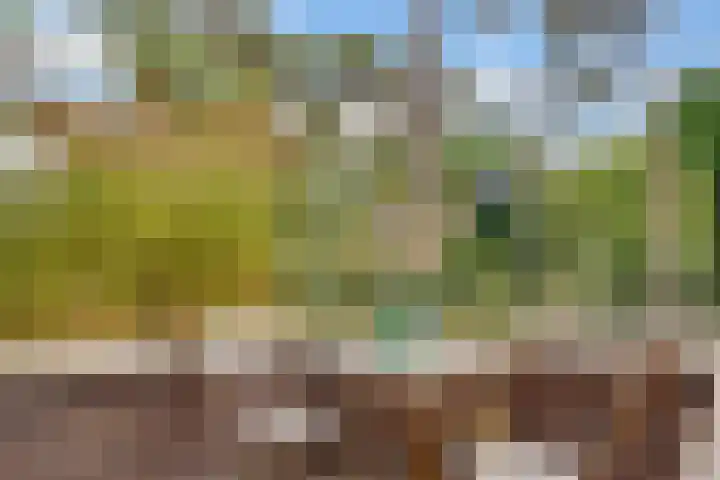 Kerckeboschlaan 31 Zeist thumbnail 42