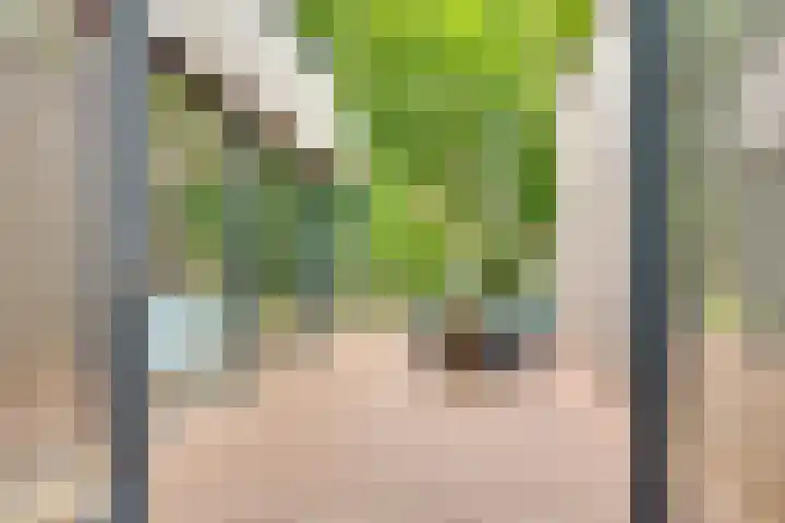 Kerckeboschlaan 31 Zeist thumbnail 43