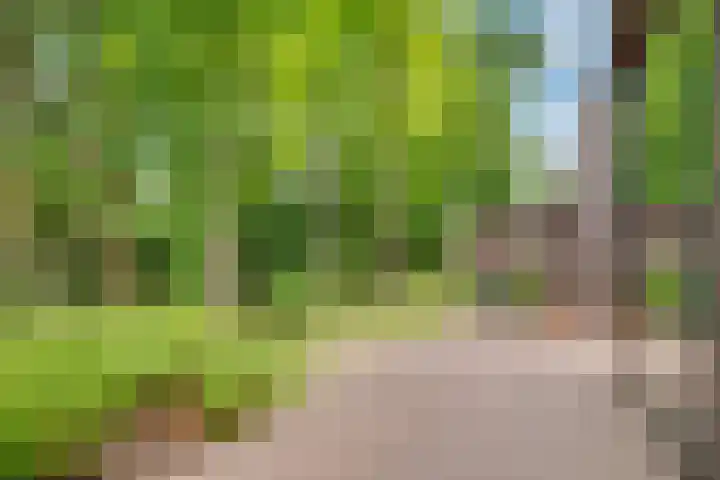 Kerckeboschlaan 31 Zeist thumbnail 44