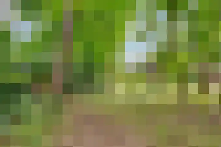 Kerckeboschlaan 31 Zeist thumbnail 45