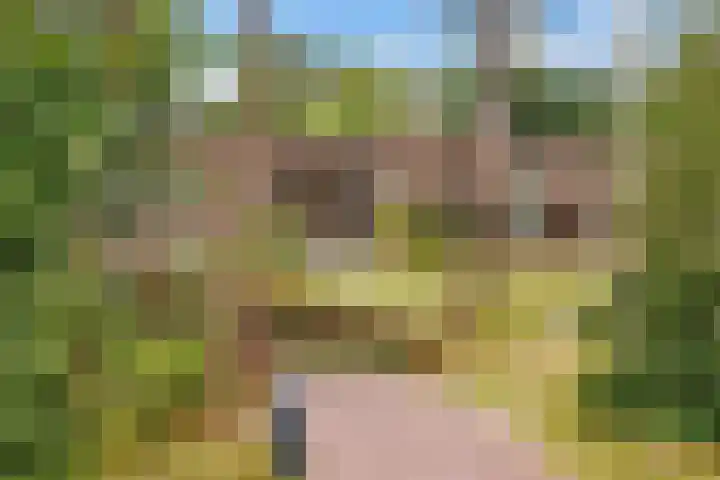 Kerckeboschlaan 31 Zeist thumbnail 49