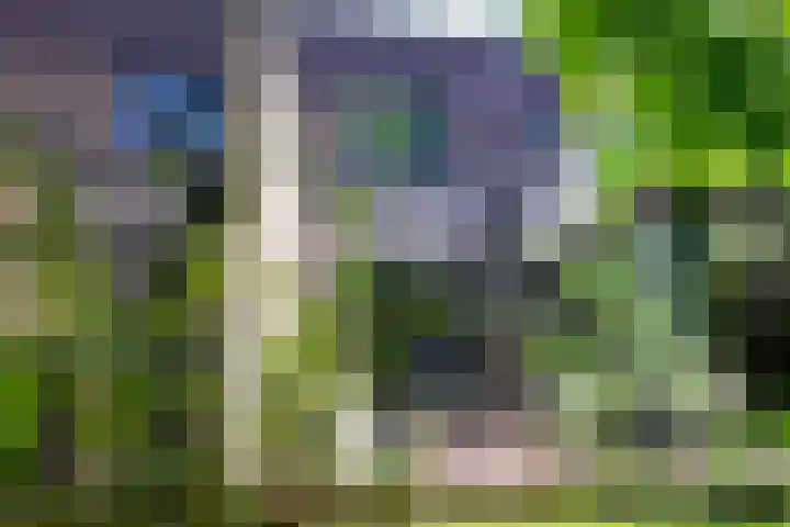 Kerckeboschlaan 35 Zeist thumbnail 11