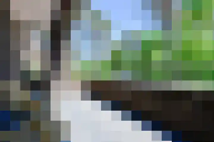 Kerckeboschlaan 35 Zeist thumbnail 18