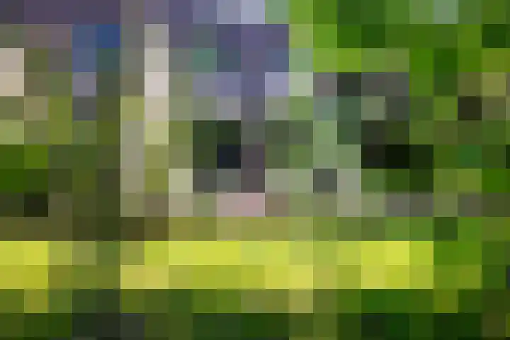 Kerckeboschlaan 35 Zeist thumbnail 34