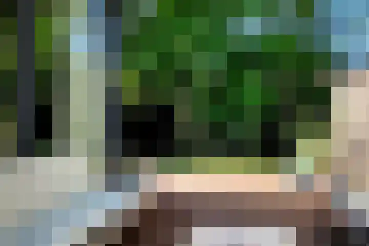Kerckeboschlaan 35 Zeist thumbnail 9