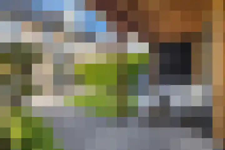 Kerckeboslaan 7 De Meern thumbnail 20